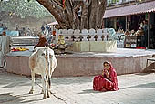 Orchha - the village